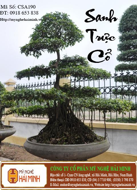 Do go my nghe Hai Minh - Hai Hau - Nam Dinh